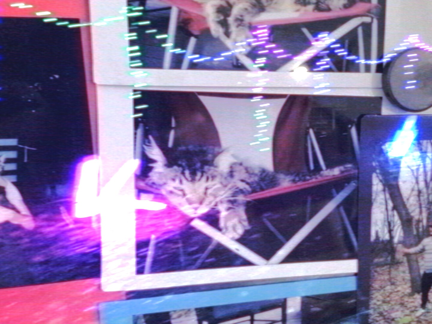 Sincerely: Most Unfortunate